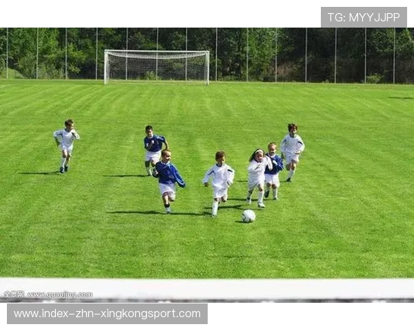 不莱梅前场的连线十分活跃：现代足球的快速变化